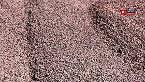 Post PCB consent, APMDC, JSW to fast-track iron ore mining in Prakasam district