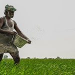 Tamil Nadu Government Launches Price Support Scheme for Tomatoes and Onions.