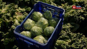 America's biggest food distributor cuts suppliers as 'explosive diarrhoea' cases rise