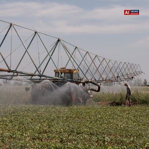 Attacks in Black Sea Threaten to Strangle Global Grain Supply