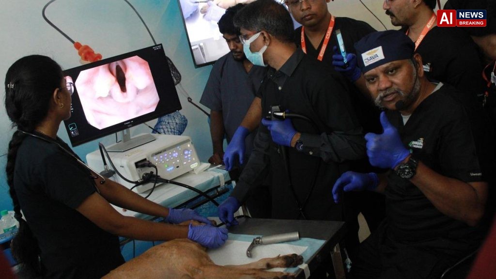 Tracheal stents offer relief to dog breeds prone to breathing problems; veterinarians trained in Chennai