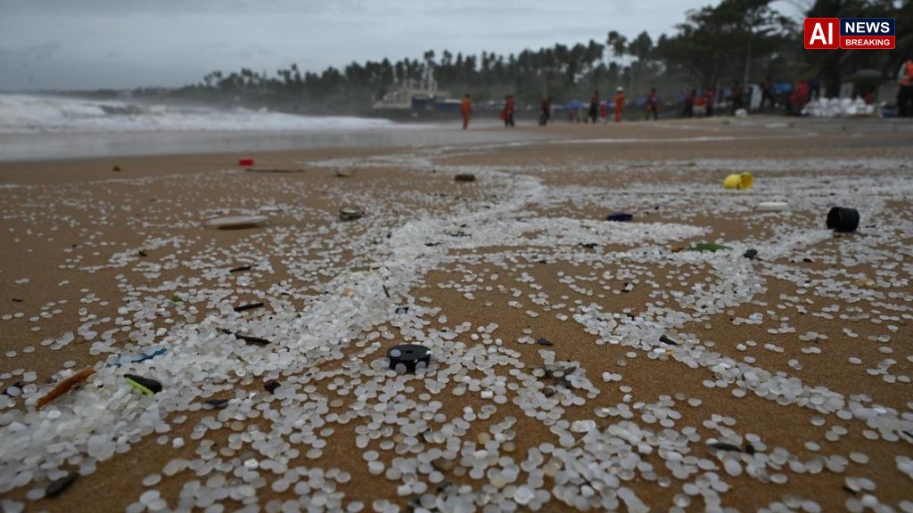 Study on Keralam ELSA-3 shipwreck shows persistent nurdle pollution, evolving ecological impacts