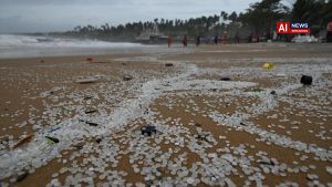 Study on Keralam ELSA-3 shipwreck shows persistent nurdle pollution, evolving ecological impacts