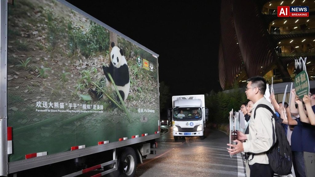2 giant pandas set off to Atlanta zoo from China after Xi-Trump summit