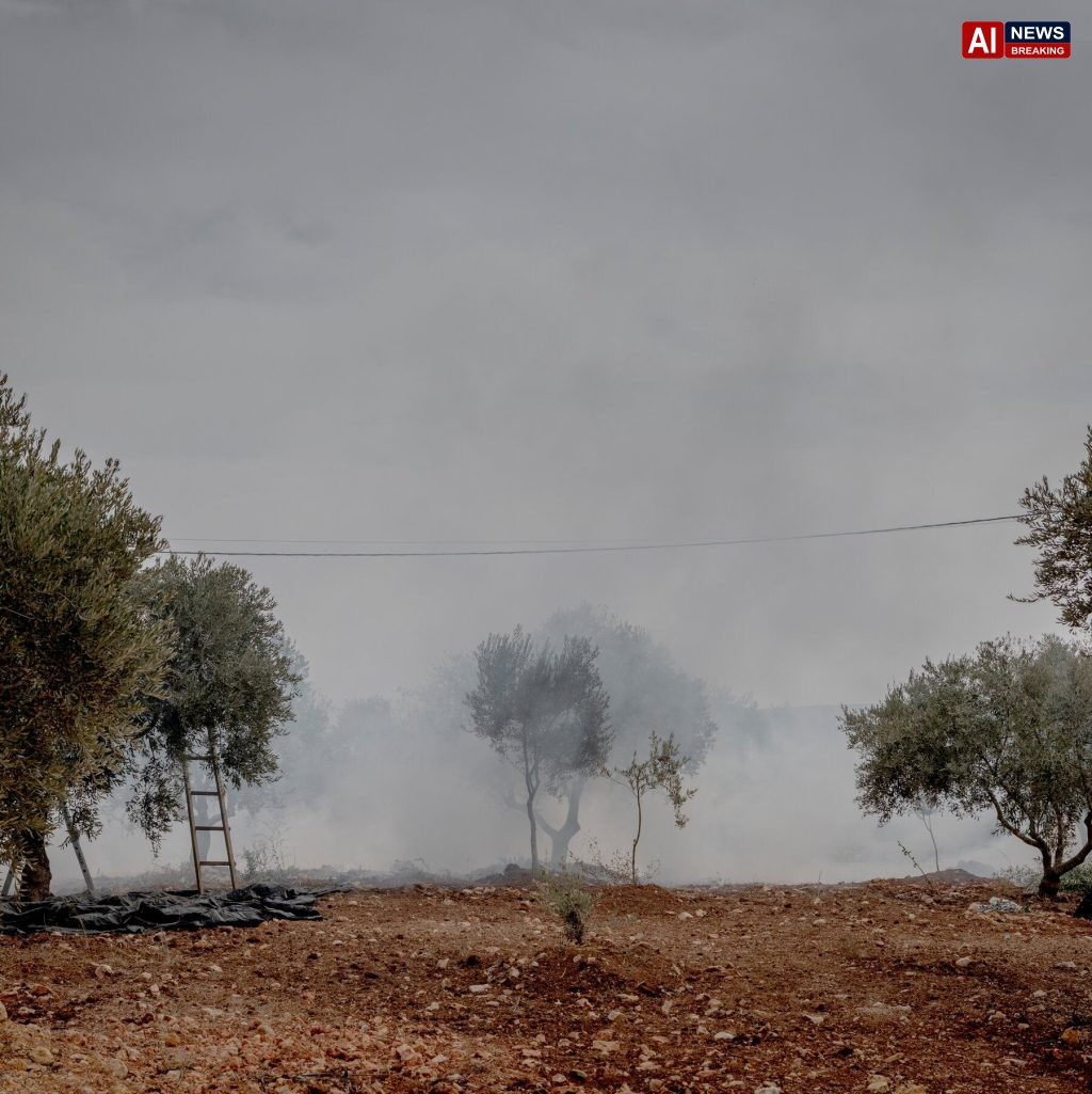Israeli Settlers Attack Palestinians and Diplomats in West Bank