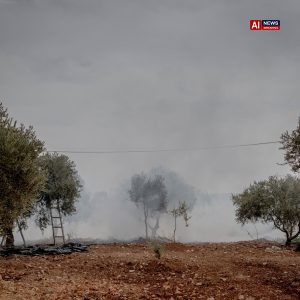 Israeli Settlers Attack Palestinians and Diplomats in West Bank