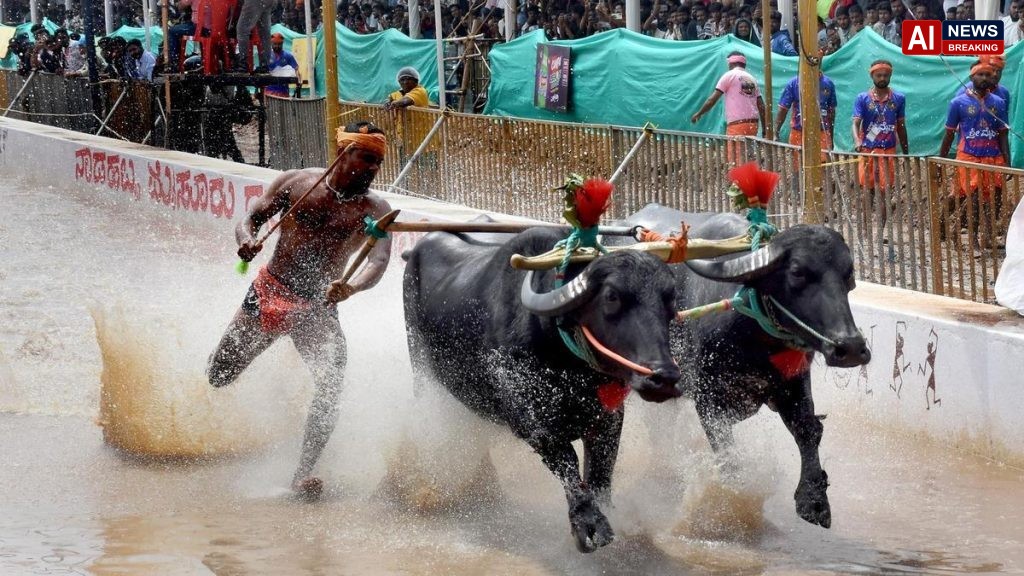Mysuru Dasara