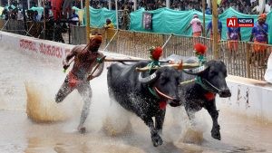 Mysuru Dasara