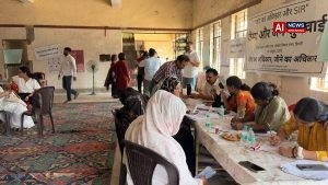 Delhi SIR: Public audit in two booths finds over 100 voters wrongly marked absent, shifted, or dead