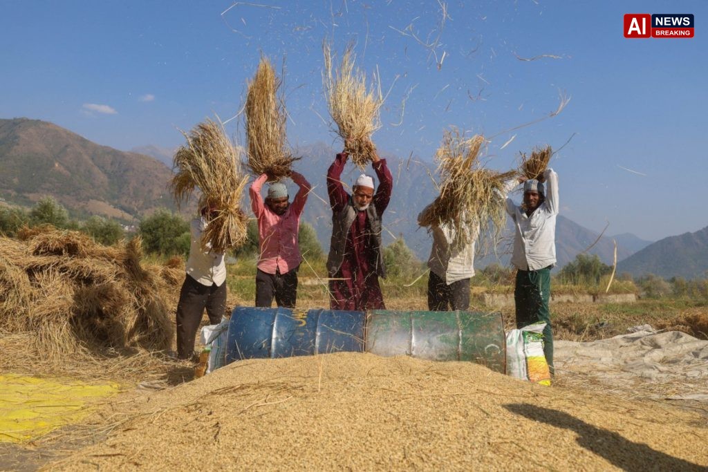 How El Niño could spark a worldwide food crisis