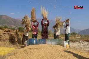 How El Niño could spark a worldwide food crisis