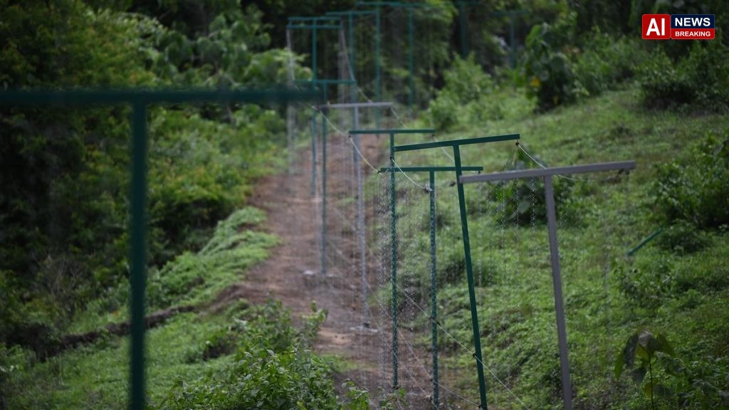 Wild animal menace: solar-powered hanging fences to be set up around vulnerable areas in Chakkittappara panchayat in Keralam’s Kozhikode
