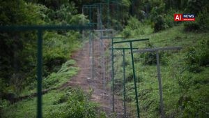 Wild animal menace: solar-powered hanging fences to be set up around vulnerable areas in Chakkittappara panchayat in Keralam’s Kozhikode