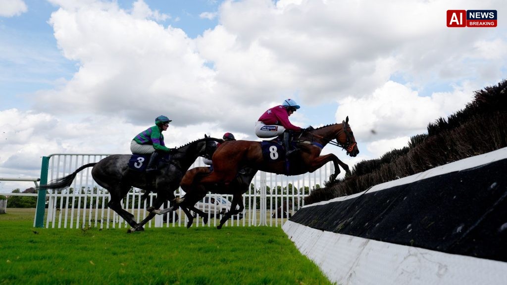 Potters Charm makes his chasing debut at Worcester