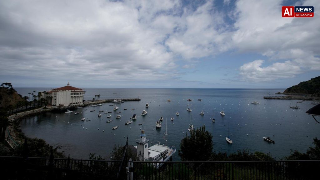 Divers find body of person missing from Calif. helicopter crash that killed 2 others
