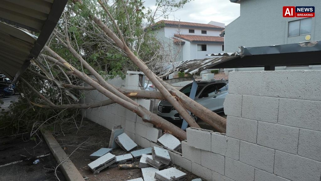 Violent Arizona storms bring possible tornado, toppled trees and golf ball-size hail
