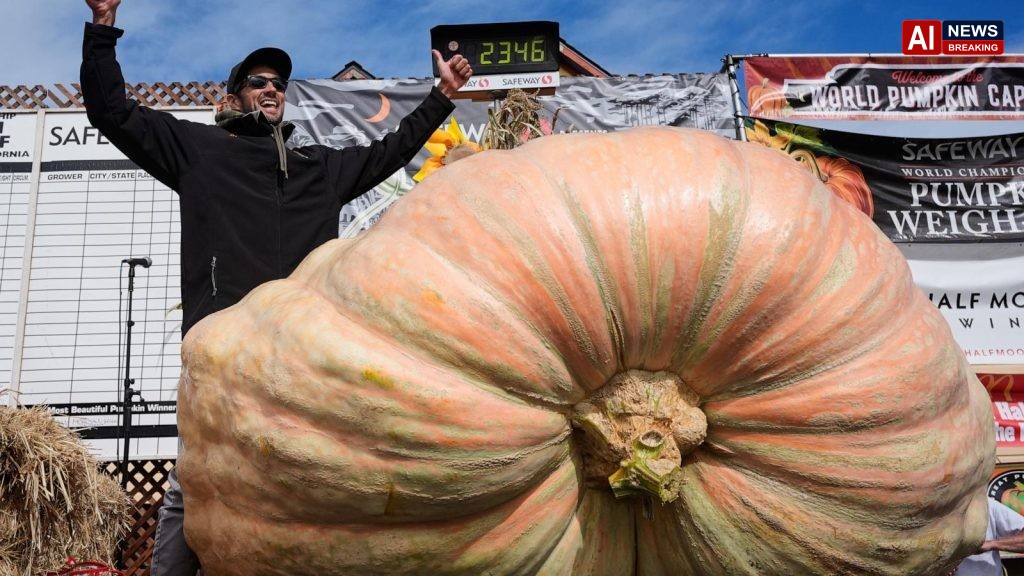 Giant pumpkins battle for heavyweight glory and the world record in California