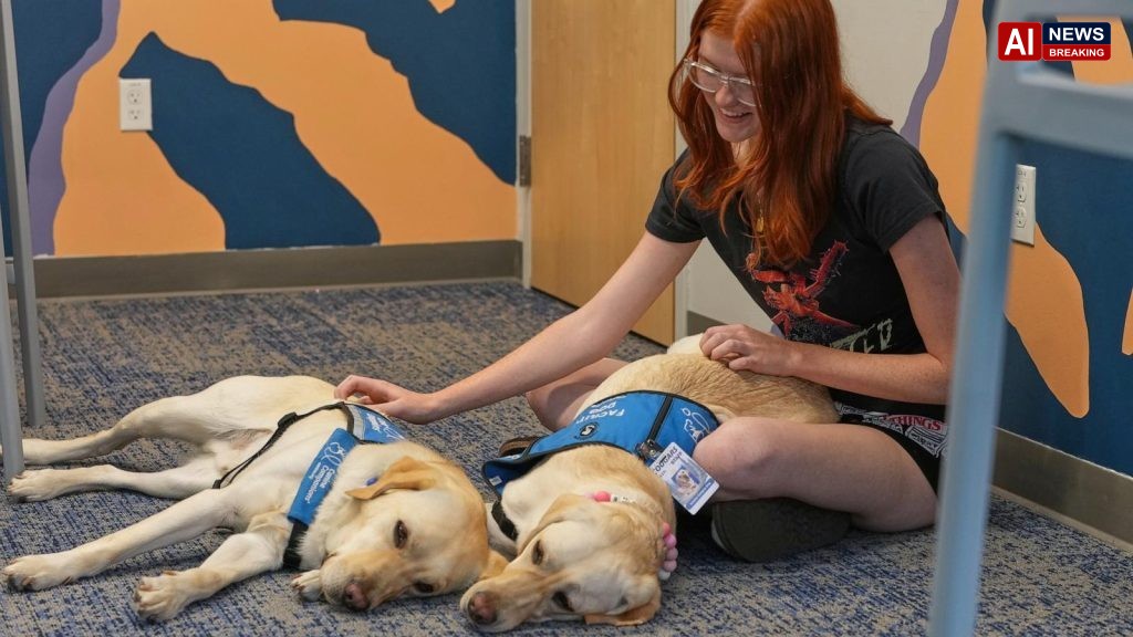 Therapy dogs bring calm and joy to students after shooting at Colorado high school