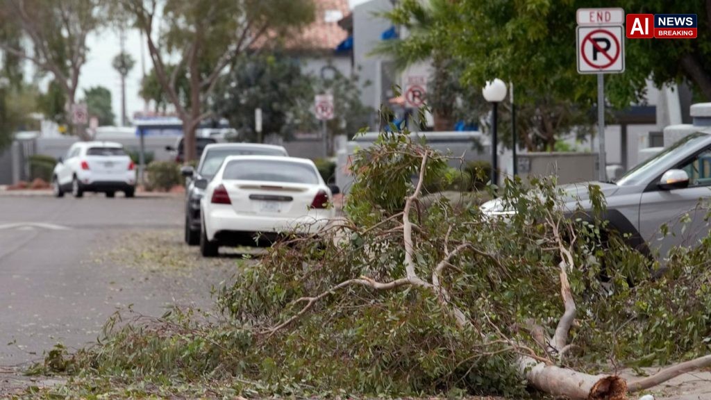 Hail the size of golf balls pummels parts of Arizona as rare storm moves through the West