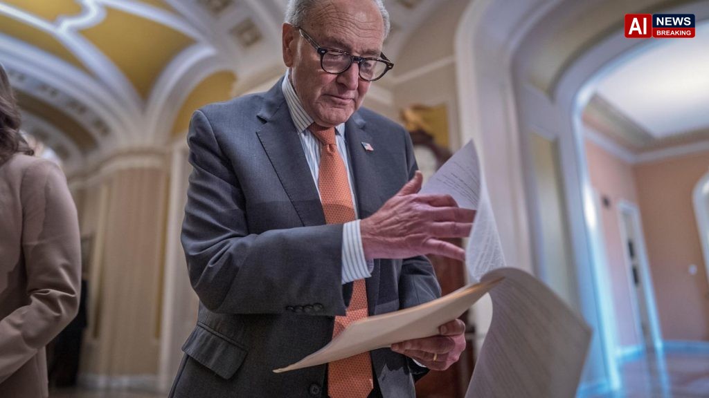 Chuck Schumer has broad support from his caucus, but midterms could decide his future as leader