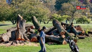 Trump says he will close historic DC golf course for 15 months of renovations