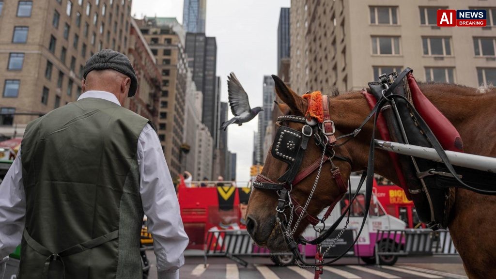 Facing a ban on horse-drawn carriages, Central Park's drivers fear for livelihoods